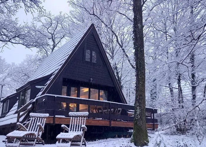 Maison Tronchiennes