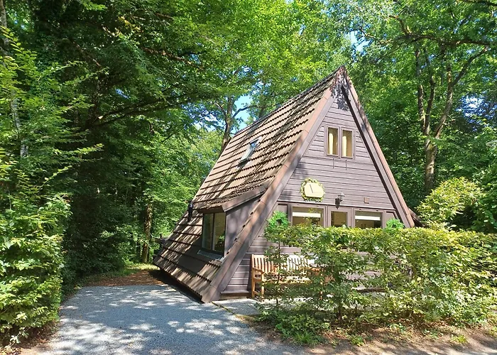 Maison Tronchiennes